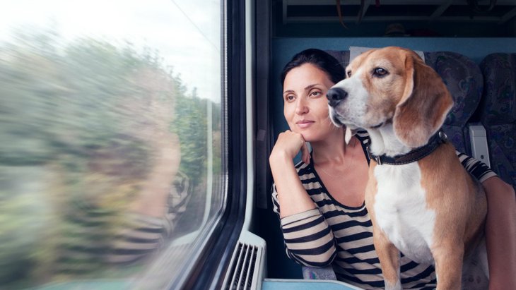 犬と電車に乗る時にしてはいけない『NG行為』6つ！必ず守るべきルールや配慮とは