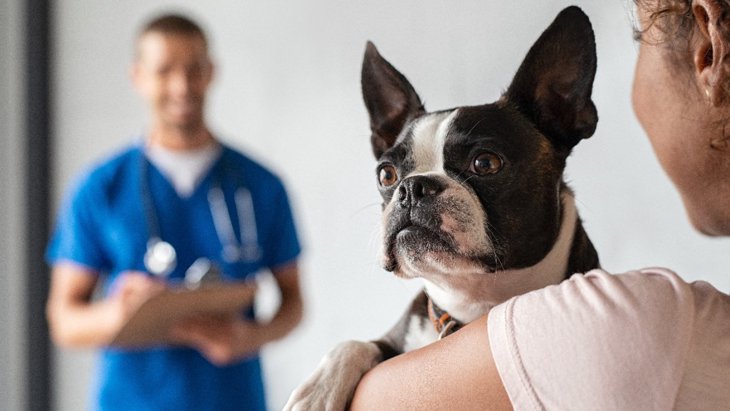 犬が「クッシング症候群」になっている時の症状とは？4つのサインと予防対策