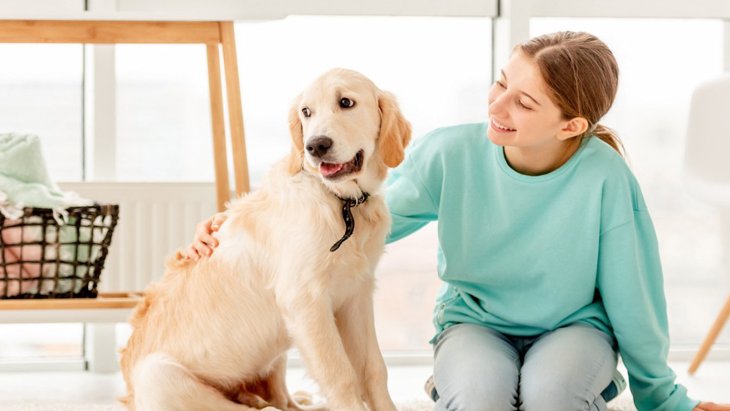 犬にストレスを与える『お世話』5選　間違っている行動とケアするコツを解説