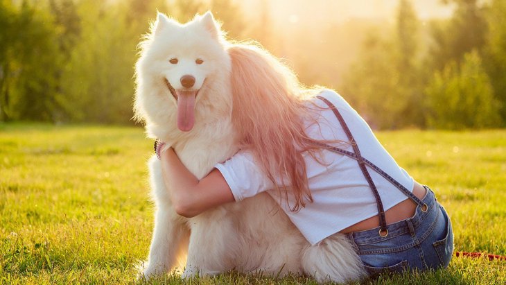 愛犬に『大好き♡』を正しく伝える４つの方法
