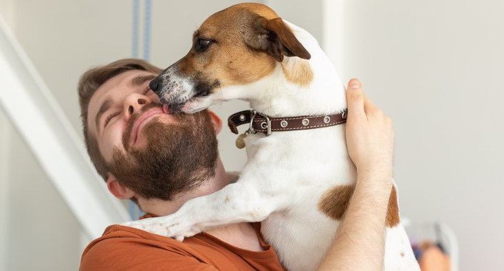 犬が『大好きな人』に会った時によくする行動や態度５選