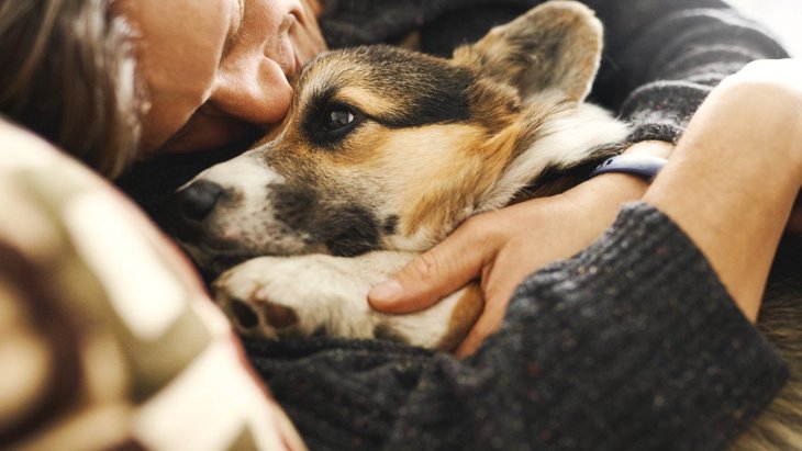 愛犬への『感謝』の伝え方5つ♡ありがとうの気持ちを上手く伝える方法とは