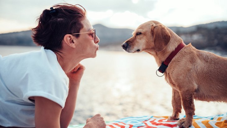 犬が目を細くしている時の心理とは？4つの理由を解説