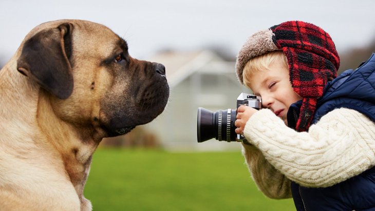 撮っておくべき『愛犬の写真』4選！その瞬間にしかない思い出は残しておいて
