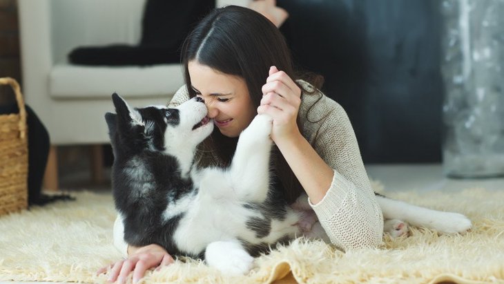 犬が人の顔を舐めるのを止めない！やめさせるための適切な対処法とは？