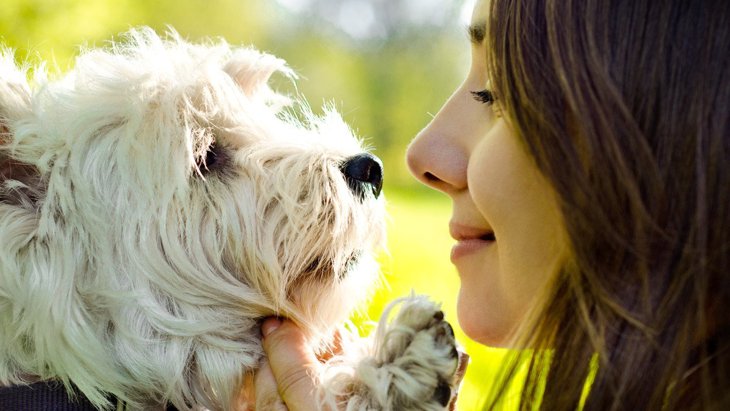 犬は飼い主の笑顔や泣き顔を理解している！人の表情を読み取った研究結果を紹介