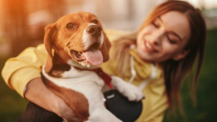 犬が『うれしょん』する心理とは？３つの理由と飼い主にできる対策を紹介