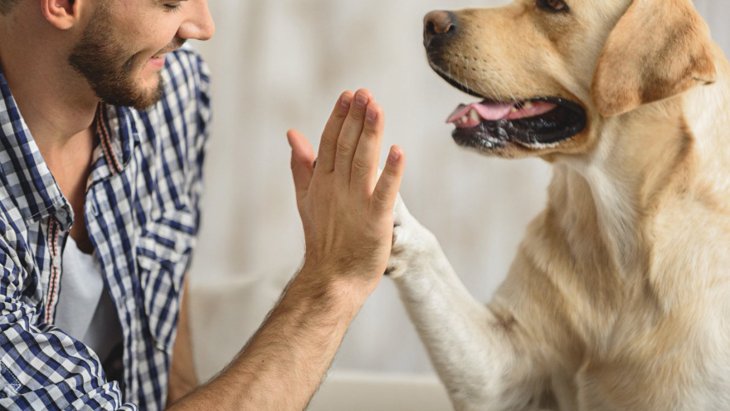 愛犬が『あなたを頼りにしてます』と伝えている時の行動5つ！より信頼関係を築くためにすべきこととは？