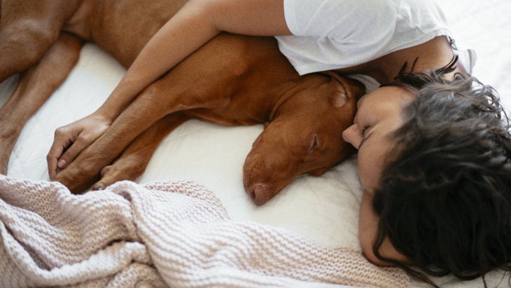 犬は『一緒に寝たい人』を選んでる？3つの基準と選ばれるためのコツ