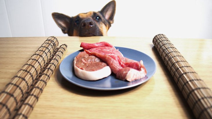 犬に生肉を与えても大丈夫？メリットやデメリット、食べる時の注意点を解説