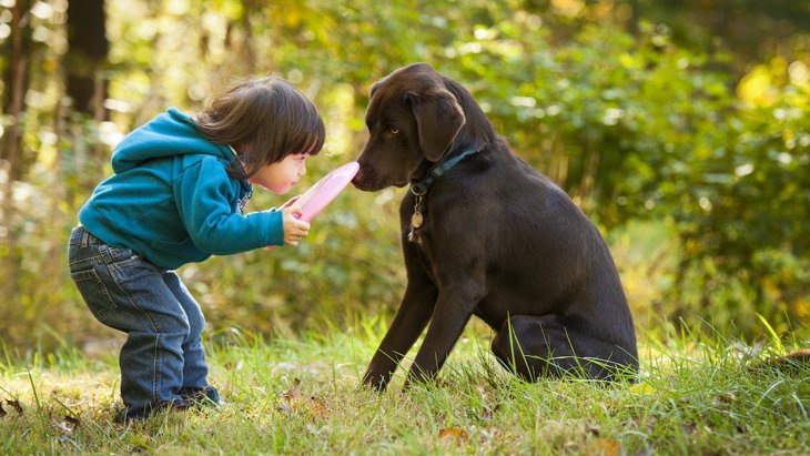 犬にしてはいけない『遊び方』３選！NGな理由とおすすめの遊び方を解説