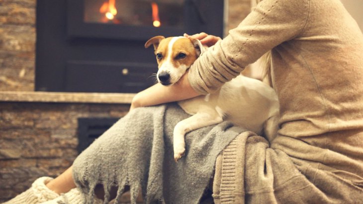 愛犬と『冬』を快適に過ごすためのポイント4つ