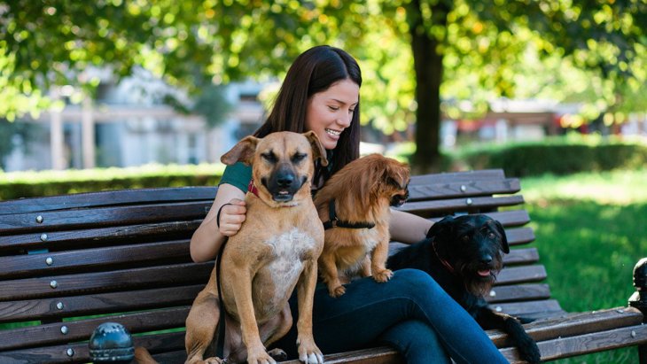 犬と一緒に公園に行くときの『絶対NG行為』7選　マナー違反がトラブルを招くことも