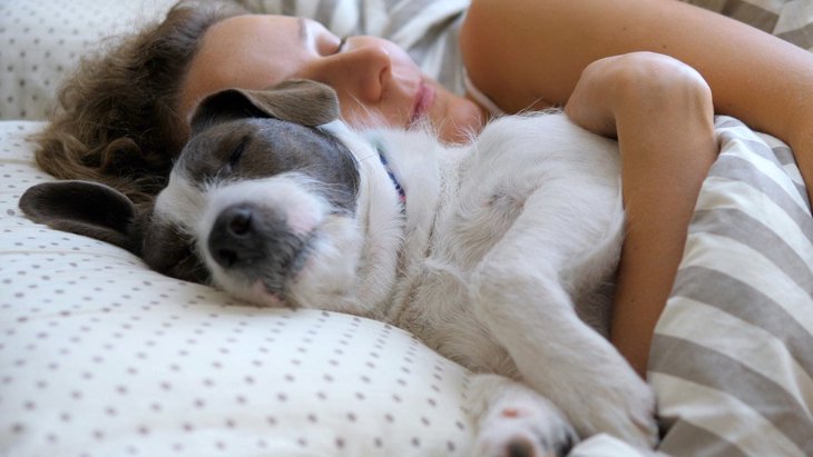 犬を飼った人にしかわからない「幸せなこと」４選！人生がより豊かになる理由