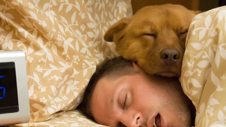 犬が人の上に乗って眠る理由4つ！良い信頼関係が築けているかも♡