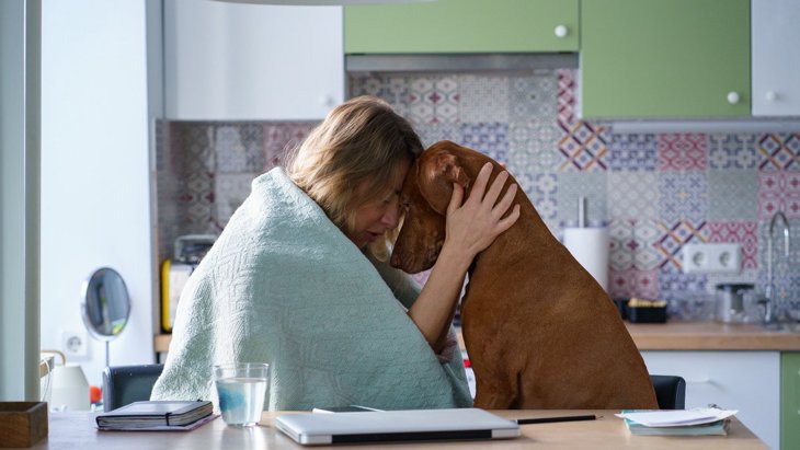 なぜ犬は人が悲しんでいると慰めてくれるのか？考えられる３つの理由