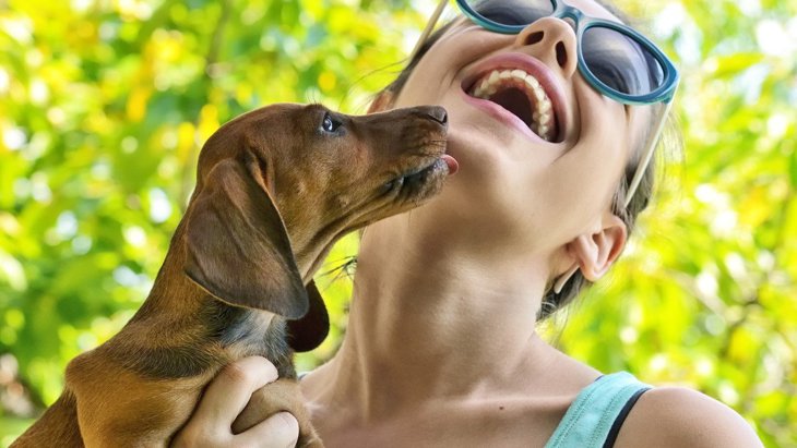 犬の『舐める行動』は悪い意味も含まれている？5つの心理と注意すべきポイント