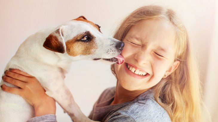 ペットフードメーカーによるティーン向けの保護犬キャンペーン