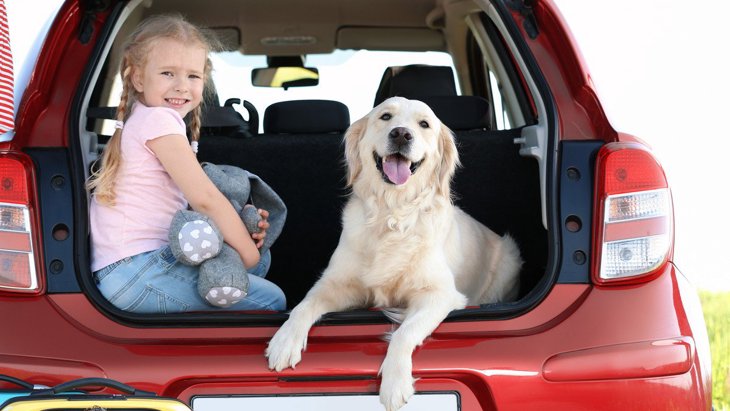 犬とのドライブで必ず携帯すべき『5つの犬用品』 様々なトラブルに対応できるように！