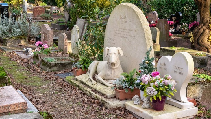 元気なうちに！愛犬の『お墓や葬儀』の事前準備をしておくべき理由5選