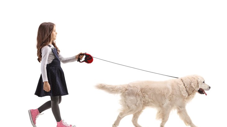 なぜ犬は『散歩好き』なの？5つの理由からサボってはいけないワケまで解説