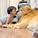 家族の入院中、犬に『赤ちゃんの子守』をお願いしたら…まさかの"可愛すぎる光景"が114万再生「鼻カプは可愛すぎる」「見守って偉い」