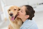 愛犬を癒してあげられる４つの方法