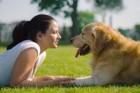 【愛犬家必見】科学的に証明！？人と犬の仲が良い「本当の理由」とは？