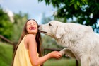 【大型犬】白い大きな犬3選！それぞれの特徴や性格、飼い方の注意点