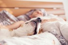 犬とベッドで一緒に寝る際に気を付けたい６つのこと