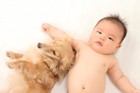 メス犬は小児喘息のリスクを低くする！犬と喘息とアレルギーの新研究結果
