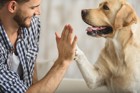 犬との絆を深める４つの方法