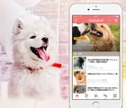 【わんちゃんホンポ公式アプリ】犬と飼い主のココロを繋げる情報を毎日お届け！