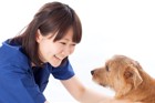 動物看護師になるために必要な資格　仕事内容や将来性、給料などについて