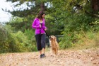 犬はなぜ散歩好きなの？理由やメリットなどを解説