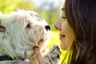 犬の認知症対策～普段からできる5つの習慣～