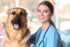 犬の骨ガンに対する免疫療法【研究結果】