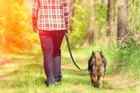 犬に散歩が必要な理由と適切な散歩時間