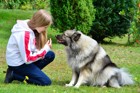 愛犬とアイコンタクトをとる重要性と身につける方法