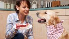 『食べ物』と『飼い主』では、犬にとってはどっちが大切なの？