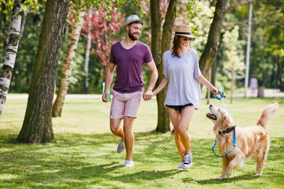 散歩中にアイコンタクトをとる犬とカップル
