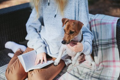 ブランケットの上で女性の読書に集中する犬