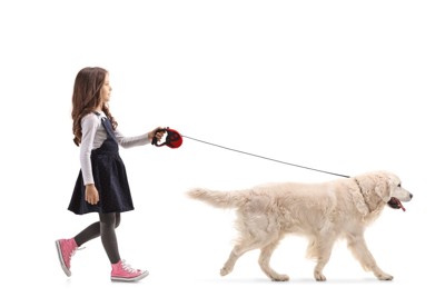 散歩をする少女と犬