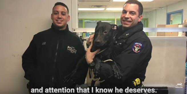 警察官2人と犬