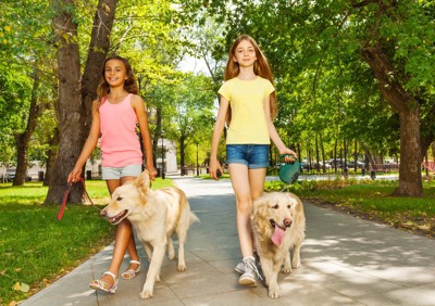 公園を散歩する少女2名と犬