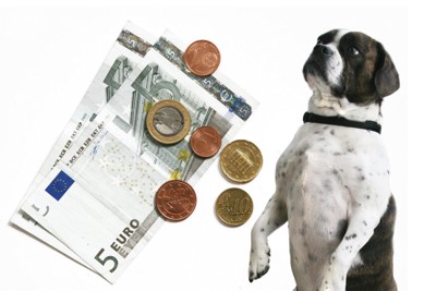 犬とユーロ紙幣とコイン