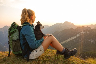 山の頂上で座る犬と女性