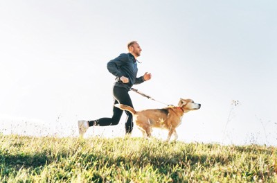 男性と走る犬