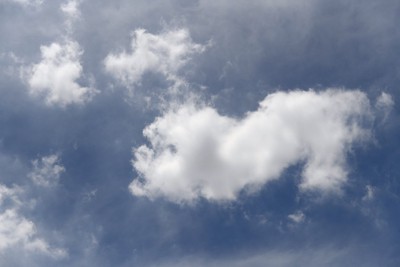 犬の形をした雲