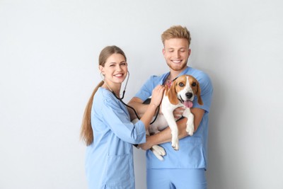 2人の獣医師と抱っこされる犬
